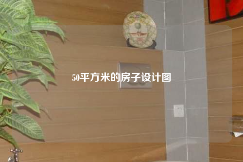 50平方米的房子設計圖