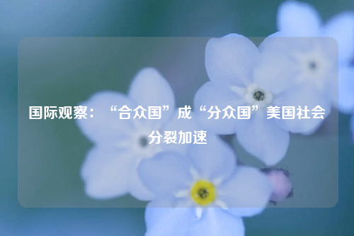 國(guó)際觀察:“合眾國(guó)”成“分眾國(guó)”美國(guó)社會(huì)分裂加速