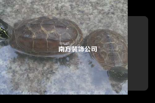 南方裝飾公司