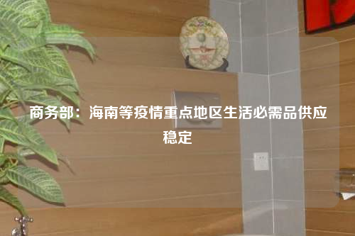 商務部:海南等疫情重點地區生活必需品供應穩定