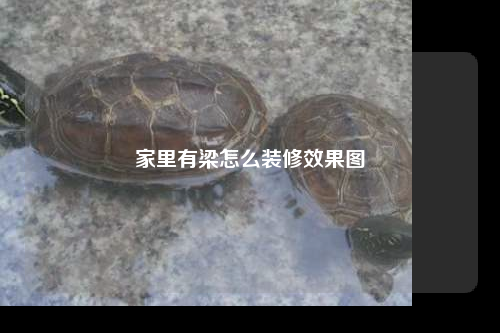 家里有梁怎么裝修效果圖