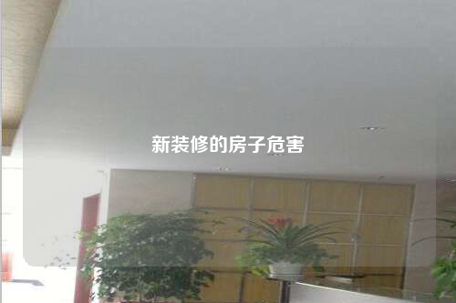 新裝修的房子危害