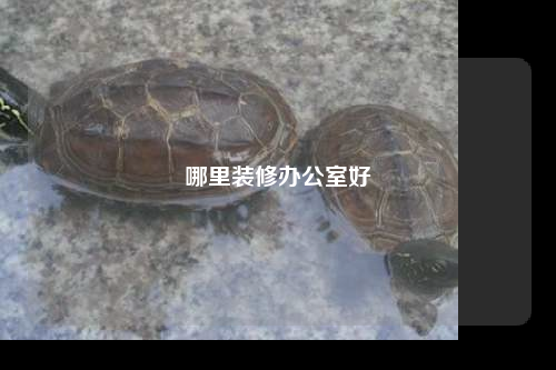 哪里裝修辦公室好