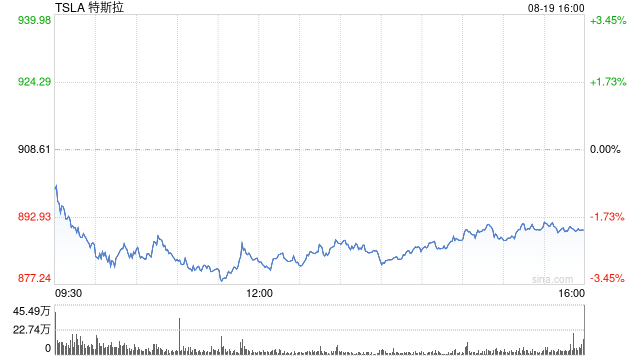 Deer Park大量買入特斯拉看跌期權 曾預言該股將如蟲子般被捏扁
