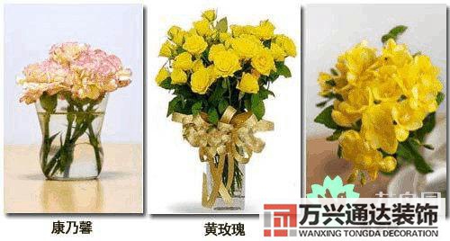 養(yǎng)花風(fēng)水禁忌室內(nèi)養(yǎng)花與擺放風(fēng)水禁忌