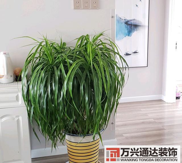 室內風水圖片室內風水布局圖解