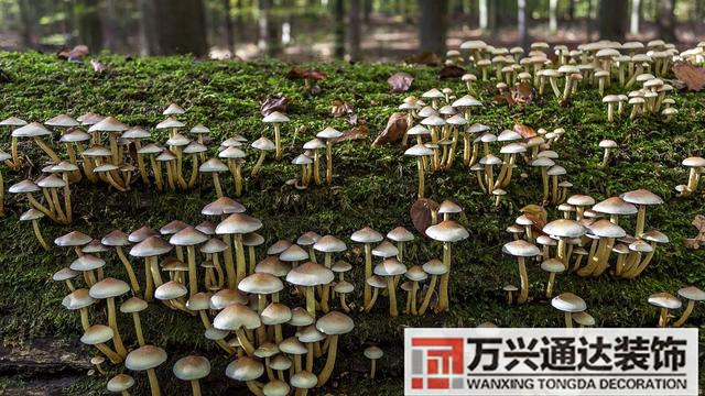 云南風水寶地云南風水寶地分享