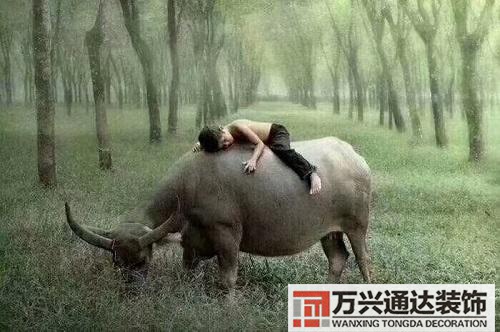 占星的風(fēng)水占星占什么