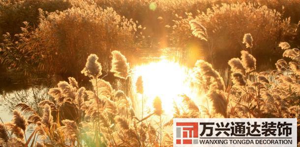 張學(xué)良風(fēng)水張學(xué)良風(fēng)水說