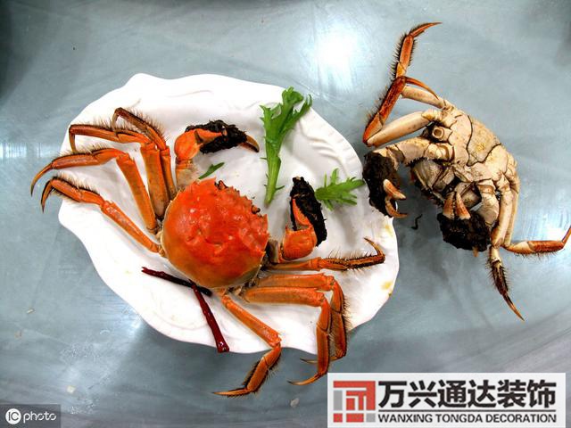 張學(xué)良風(fēng)水張學(xué)良風(fēng)水說