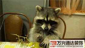 裝修的價(jià)格裝修要多少錢(qián)