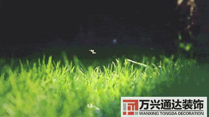 竹子風(fēng)水學(xué)竹子風(fēng)水學(xué)的意義