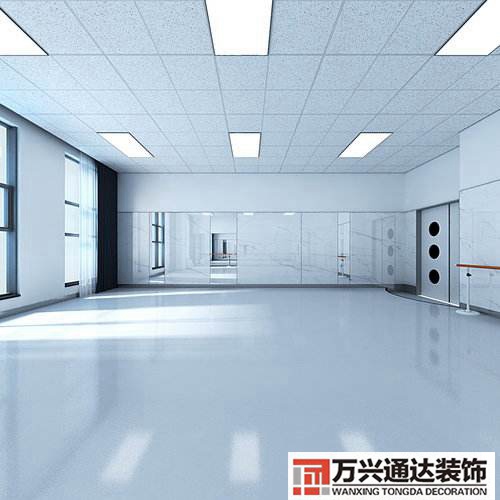 舞蹈室設(shè)計舞蹈室設(shè)計說明