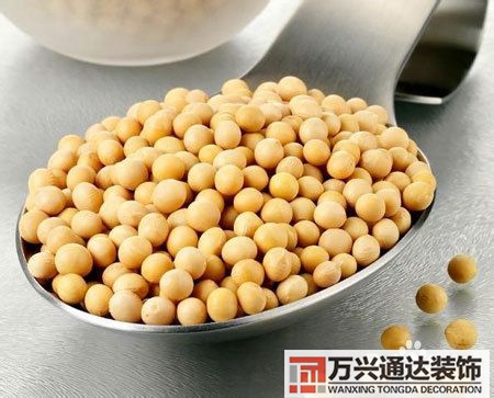 黃豆風(fēng)水黃豆在風(fēng)水里的意義