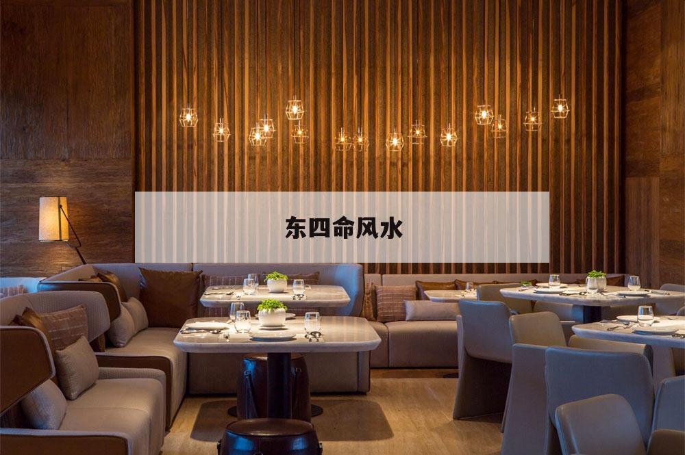 東四命風(fēng)水,風(fēng)水東四命,西四命