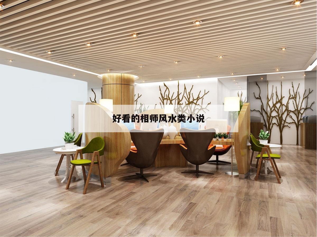 好看的相師風(fēng)水類小說(shuō),好看的相師風(fēng)水類小說(shuō)排行榜